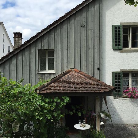 Airport Zuerich Elwiras B & B Lufingen Bagian luar foto
