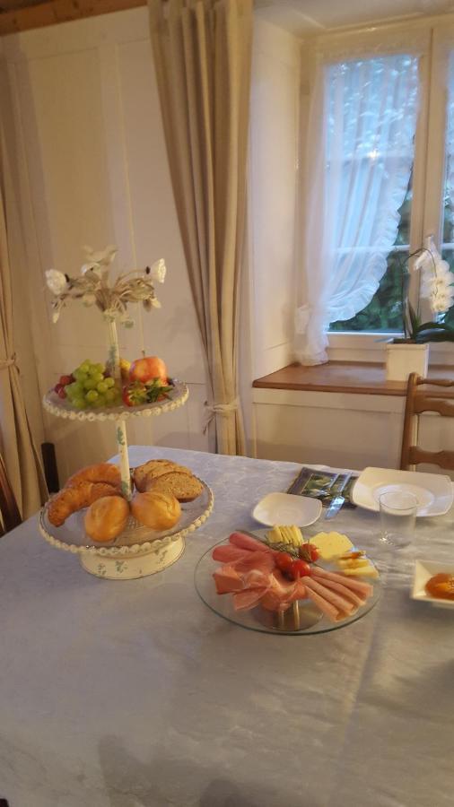 Airport Zuerich Elwiras B & B Lufingen Ruang foto