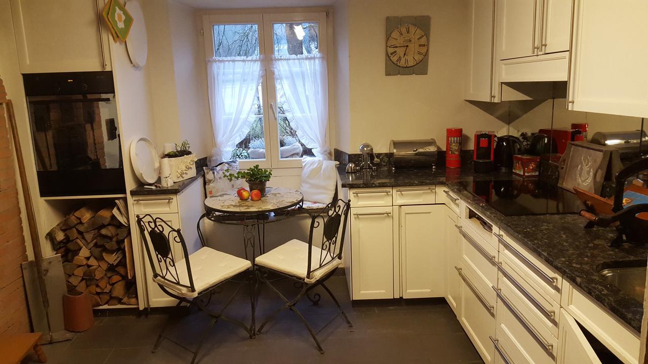 Airport Zuerich Elwiras B & B Lufingen Bagian luar foto