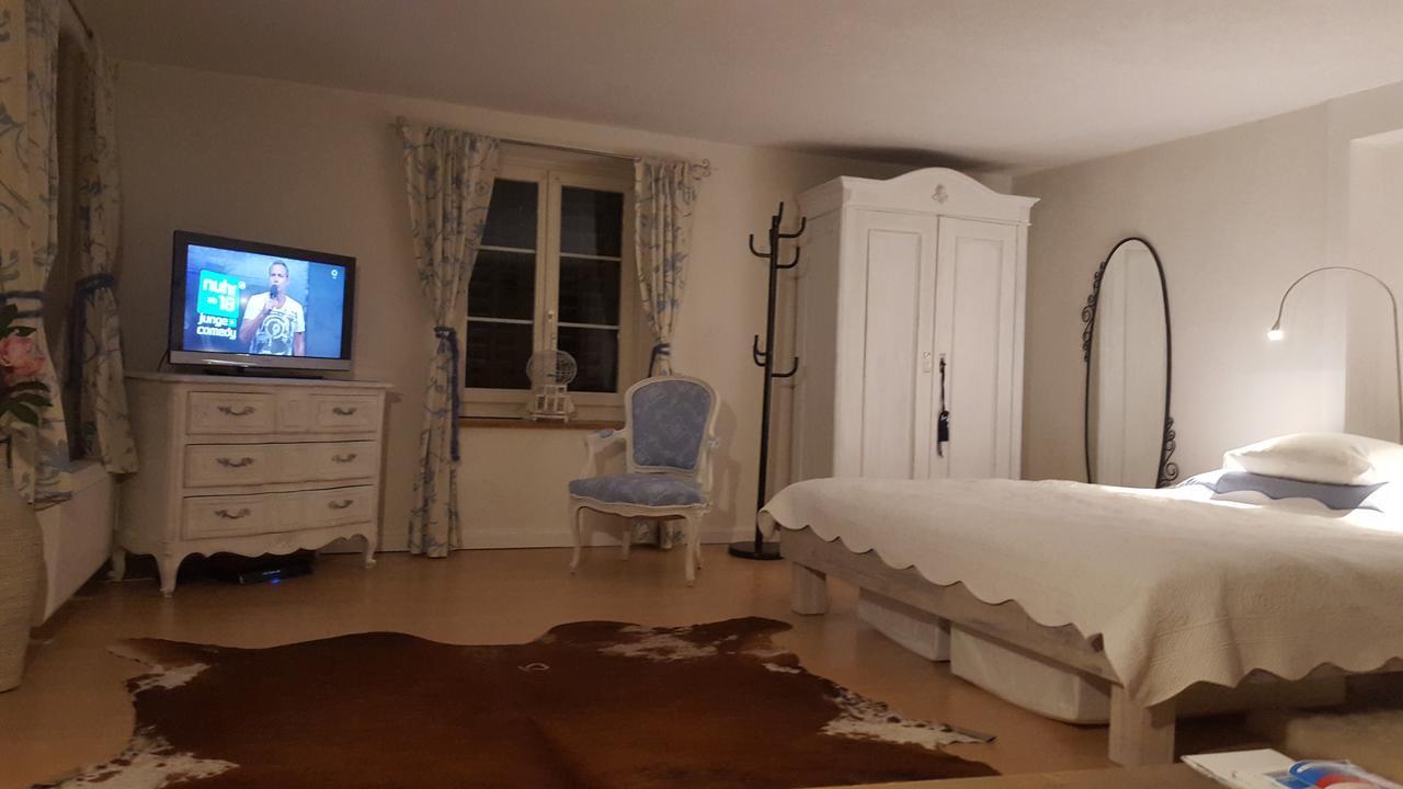 Airport Zuerich Elwiras B & B Lufingen Bagian luar foto