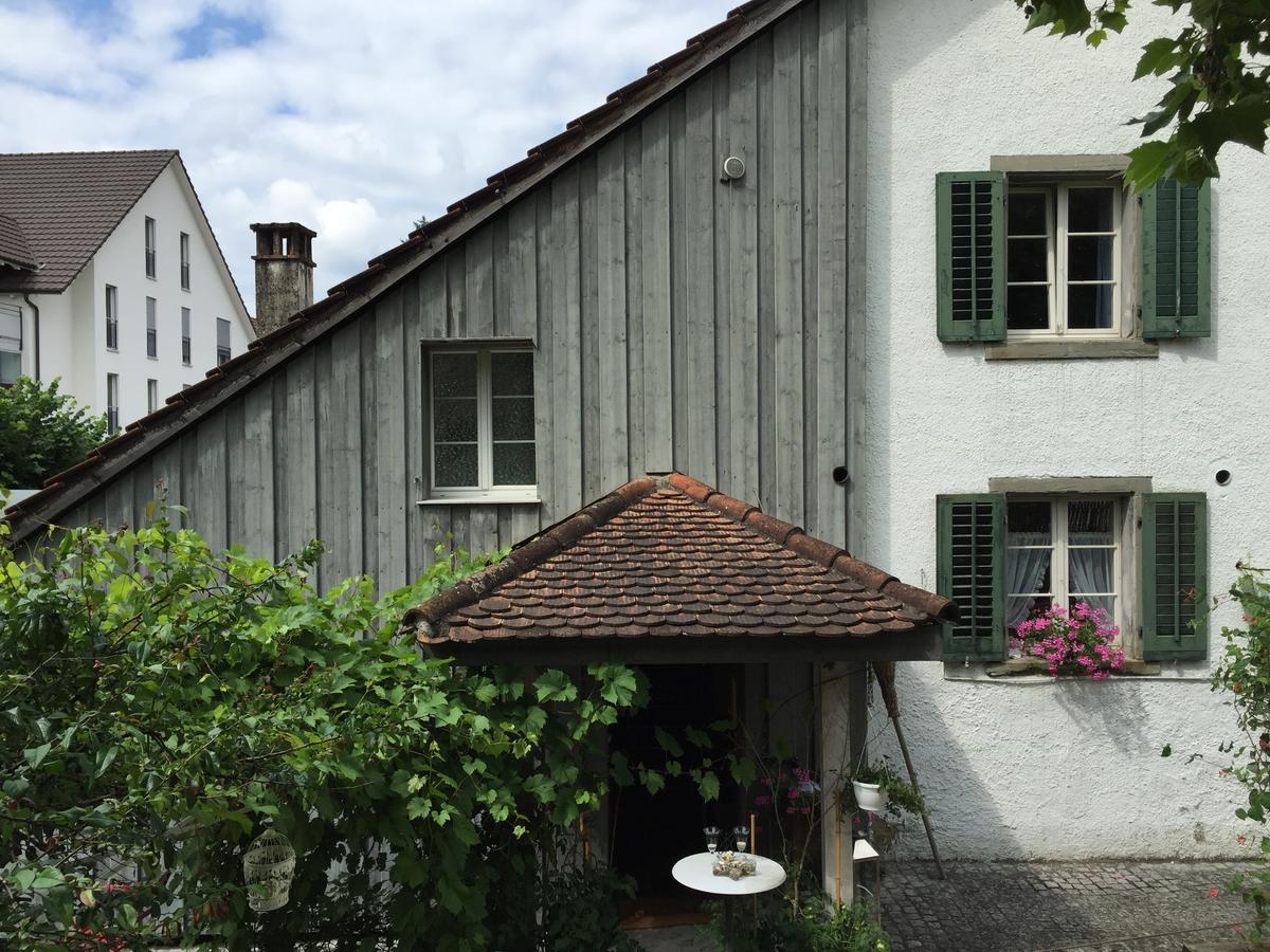 Airport Zuerich Elwiras B & B Lufingen Bagian luar foto