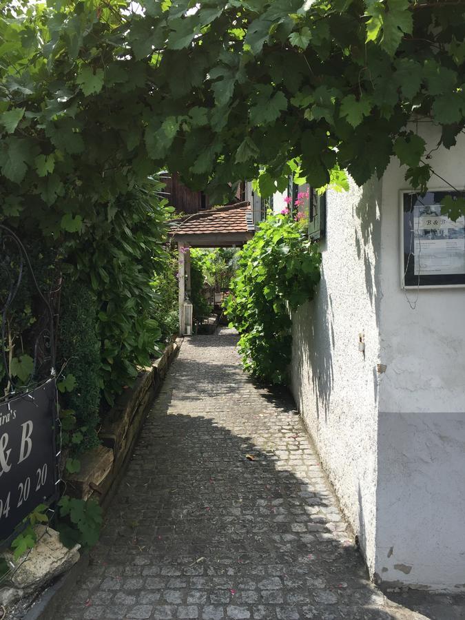 Airport Zuerich Elwiras B & B Lufingen Bagian luar foto