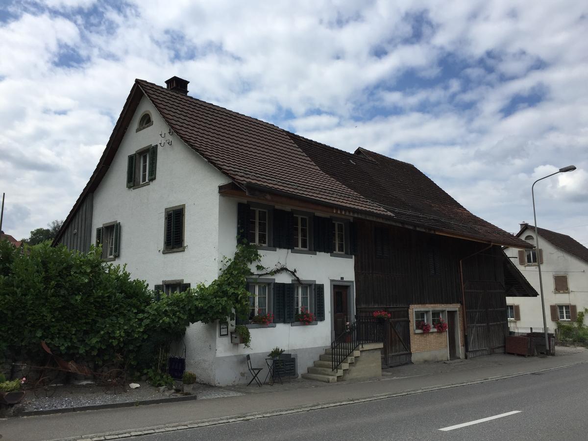Airport Zuerich Elwiras B & B Lufingen Bagian luar foto